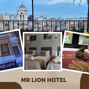 Mr Lion Kumkapi Istanbul